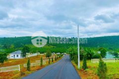 Đất vườn bảo lộc lâm đồng 900 triệu