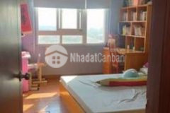 Chcc viện bỏng lê hữu trác hà đông 100m 2 45 tỷ