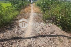 4 2 công đất lúa ngang 80m gần chợ đình hòa thành