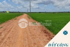 Bán 6 2 công đất phước vinh châu thành sổ riêng