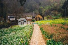 Bán đất cô tô mảnh đất lưng tựa núi ngay khu 4 trung tâm thị trấn cô tô giá vip