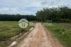 Cần bán gấp đất phước vinh tây ninh