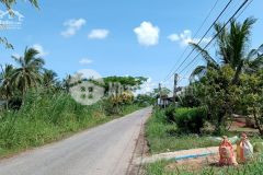 Bán đất mặt tiền huyện lộ 53, thạnh quới, mỹ xuyên, sóc trăng.