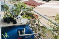 Nhỉnh 2 tỷ có ngay nhà 24m2 ngang 4m nơ trang long 3 tầng ba gác tung tăng