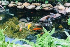 Biệt thự trích sài 100m2 5t, kinh doanh vip, gara 2 ô tô. vài bước ra phố bán gấp, chỉ hơn 15t