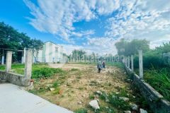 Lo sợ của người này, là cơ hội của người khác mua ngay liền tay lô nhà vườn cách chợ vĩnh điện 4km