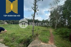 Đất nền phân lô giá fo chỉ 2xx hải trường hải lăng 0886994246