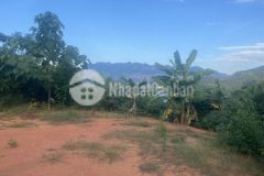 Mộc châu,đất nền trên cao nguyên,giá hợp lý,lợi nhuận cao