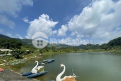 Đất nền quản bạ hà giang, mảnh rộng, giá rẻ, đón đầu khu du lịch