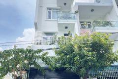 Nhà phố lửng 3 lầu mặt tiền đường số, phường tân quy, quận 7
