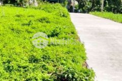 144m2 full thổ giáp nhựa tp long khánh