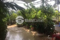 Bán nhà mt gò vấp ngang 8m 190m đất 3 tầng