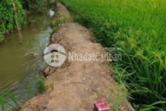 Đất thái mỹ củ chi 2365m2