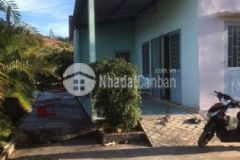 Chỉ 850 triệu sở hữu ngay 1 8ha đất tại đăk lăk