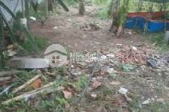 Gân chơ gân uy ban xa sát bên trương tiêu hoc