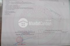 Đất trang trại hoà hiệp bắc tổng 3140 m2