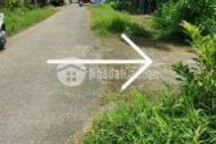 Biệt thự nhà vườn khá đẹp giá rẻ tại củchi14x43