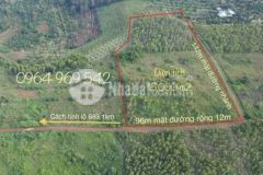 Đất ngộp bán giảm giá 1 nửa