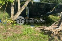 Bán 10 000m2 có 300m2 đất ở mt đường nhựa 7 5m