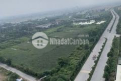 Bán 50m đất dịch vụ an thọ an khánh khu đồng mới