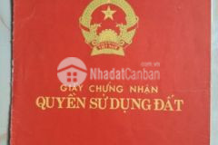 Bán đất ngay tân hiệp 18