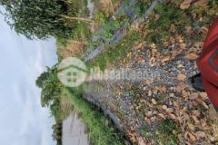 1000mv chỉ 370 triệu giáp ranh sa đéc