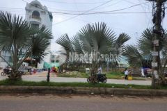 Bán gấp đường chính phước thiện thủ đức