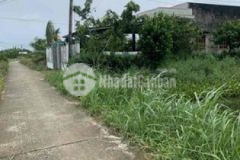 Đất lúa mặt tiền nguyễn văn mỹ chuẩn bị lên nhựa