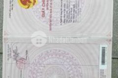 Căn hộ trung cư 2 phòng ngủ mới đẹp