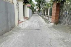 Bán giúp 56 5m2 đất thổ cư ngõ 137 phố việt hưng