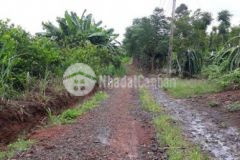 Bán 2 3 sào đất thôn 8 cư êbur giá tốt