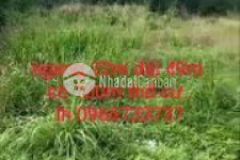 Đất 1105m có 100m thổ sau trường tân phú