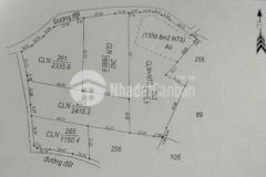 250tr có ngay 1 150m2 đất cây lâu năm tại đaklak