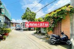 Đất 1 xẹc thạnh xuân 25 đường xe hơi