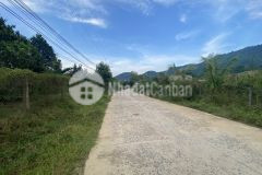 Vườn bưởi giáp suối cạnh kdl yangbay khánh phú chỉ 850triệu