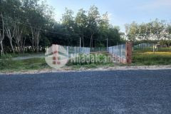 Đất full thổ sale sập sàn ck12