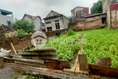 Cần bán gấp trong 10 ngày mảnh đất khoan tế đa tốn, gia lâm ô tô đỗ cửa giá chỉ 40tr