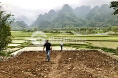 Bán gấp lô đất dt 263m2 ở tt bo giá chỉ 1,x tỷ x tiểu học nằm sát dự án của vingroup