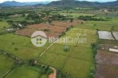 Tour tham quan đất miễn phí hot nhất bình thuận