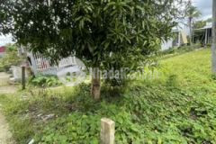 Nền thổ cư cách ql1a 2phút cách chợ cái tắc 4km