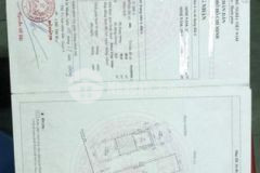 Bán gấp căn nhà quận 8 chủ định cư nước ngoài