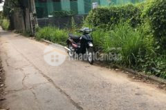 Đất hẻm xe hơi 480 bình quới 3000m2