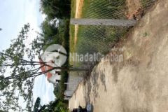 Bán đât 210 m2 cách quốc lộ 14b 30 m