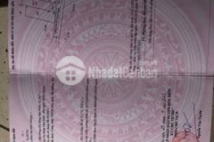 Bán gấp lô đất đường trịnh thị miếng hóc môn 100m