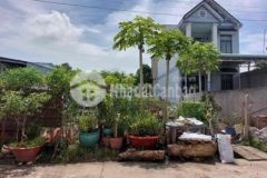 5 6x40 65mtc cách lê chí dân 70m ngay kdlđại nam