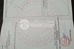 140m đất full thổ ngang 11 5m cách q lộ 1a 100m