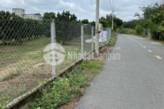 Kẹt tiền ra đi gấp 1 mẫu đất đang trồng sầu riêng