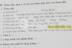 Đất thổ cư 206m2 thổ cư đ dương công khi hóc môn