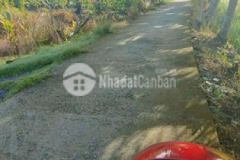 Bán lô thổ mỹ phú thủ thừa gần bến đò vàm thủ