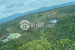 Em chính chủ đất tp bảo lộc cần bán